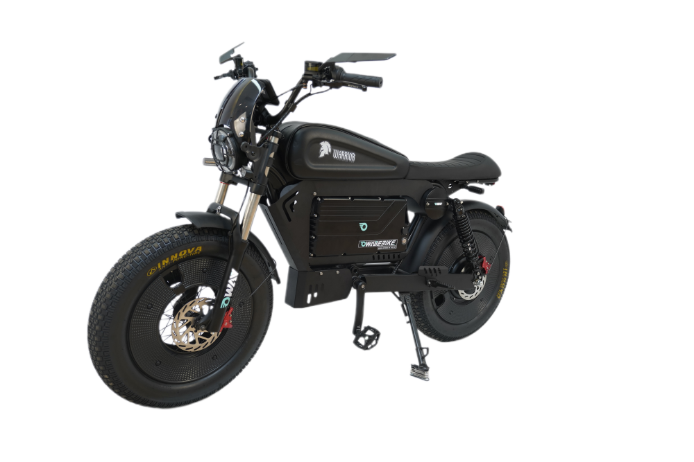 Home Delivery Price For The US Only  OWAY Electric bike Sk-1 3000W Brushless Motor 60V50AH Big Battery Black Warrior Ebike Full suspension 80MPH 100miles